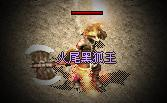 火尾黑狐王