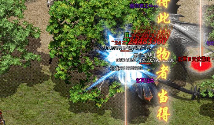 从白日门怎么去丛林迷宫？